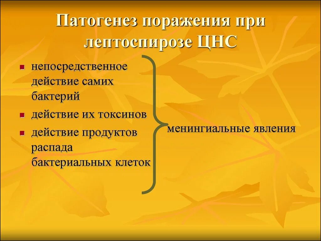 Лептоспироз поражение нервной системы. Поражение нервной системы при лептоспирозе. Нервная система при лептоспирозе. Лептоспироз патогенез