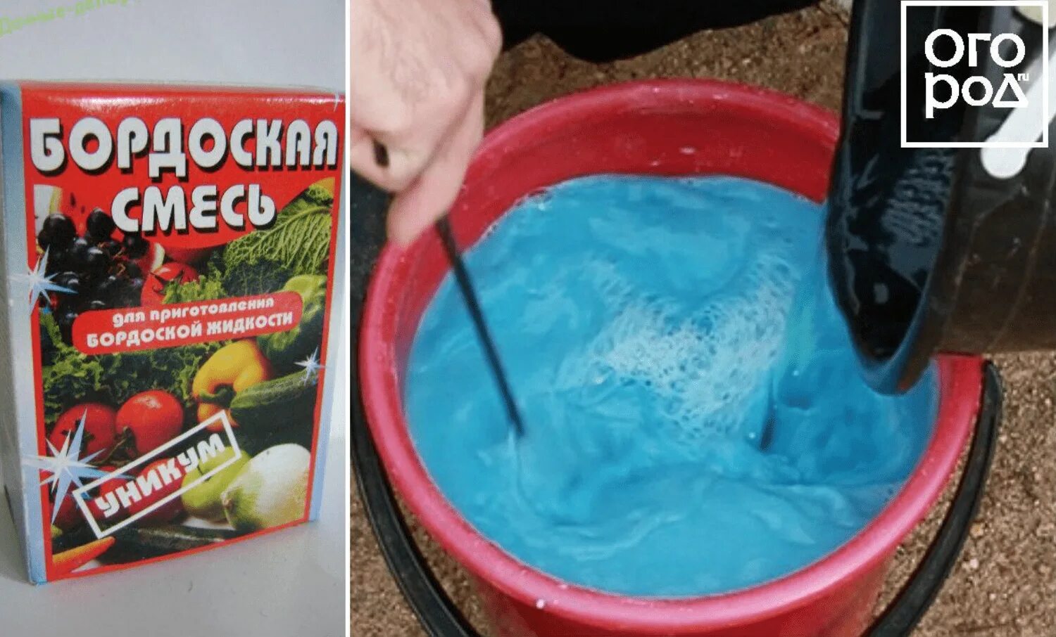 Приготовление бордосской жидкости. Как сделать бордосскую жидкость. Бордосская смесь жидкая. Медный купорос для обработки деревьев. Бордосская жидкость жидкость.