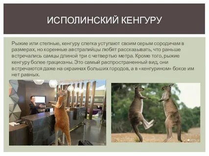 Исполинский синоним