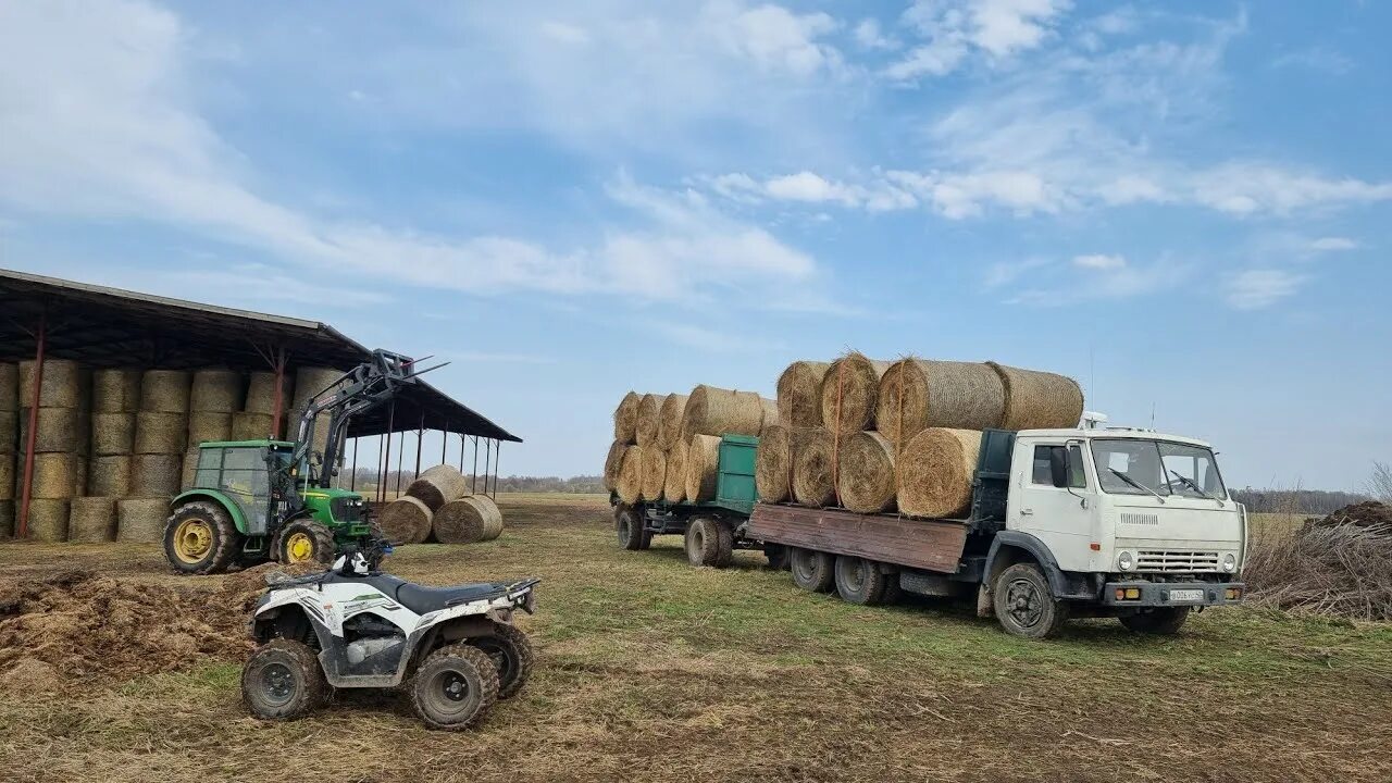 Трактора грузят. МТЗ 82.1 погрузка рулонов сена на КАМАЗЫ. К3540 КАМАЗ сена. Погрузка рулонов сена на КАМАЗ. КАМАЗ на сенокосе.