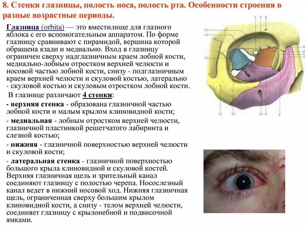 Сообщения глазницы. Костные стенки глазницы анатомия. Стенки глазницы анатомия таблица. Полость глазницы вид спереди. Стенки глазницы анатомия образованы.