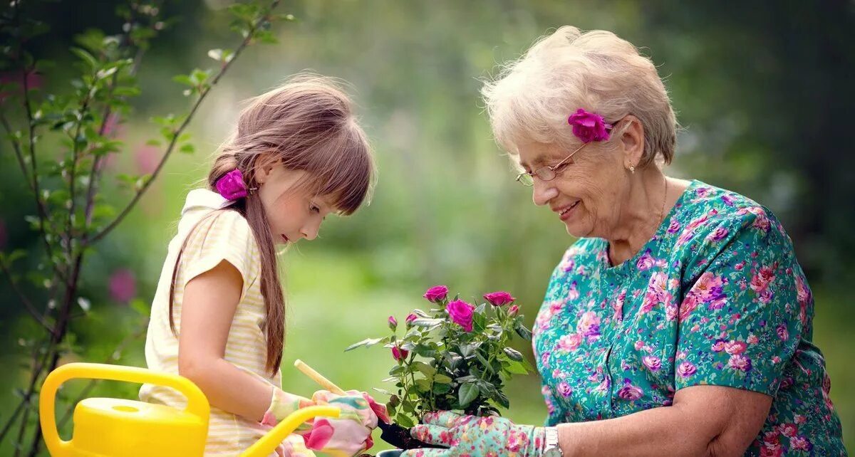 Хотели помочь бабушке. Бабушка и внучка. Бабушка и внучка в саду. Забота. Бабушка с внучатами.