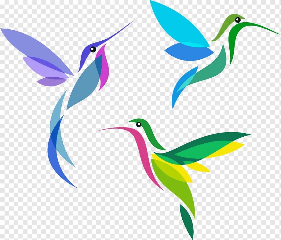 Райская птица на гербе. Стилизованные птицы. Стилизованная птичка. Стилизация птиц в цвете. Цветные силуэты птиц.