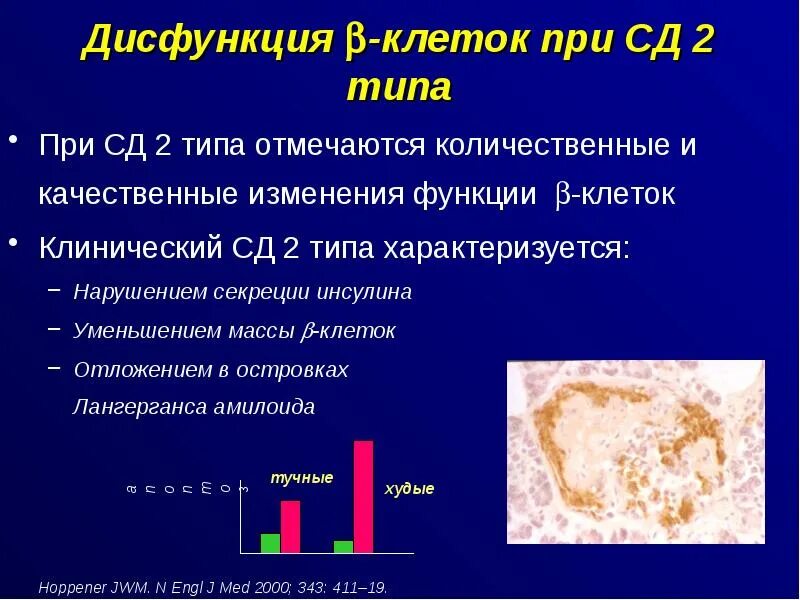 Нарушение секреторной функции. Нарушение секреции инсулина. секреторная дисфункция бета клеток при сд. функциональное нарушение клетки. клетка нарушение работы.