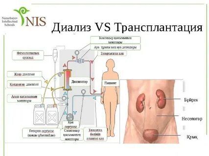Помп және заты бар киска