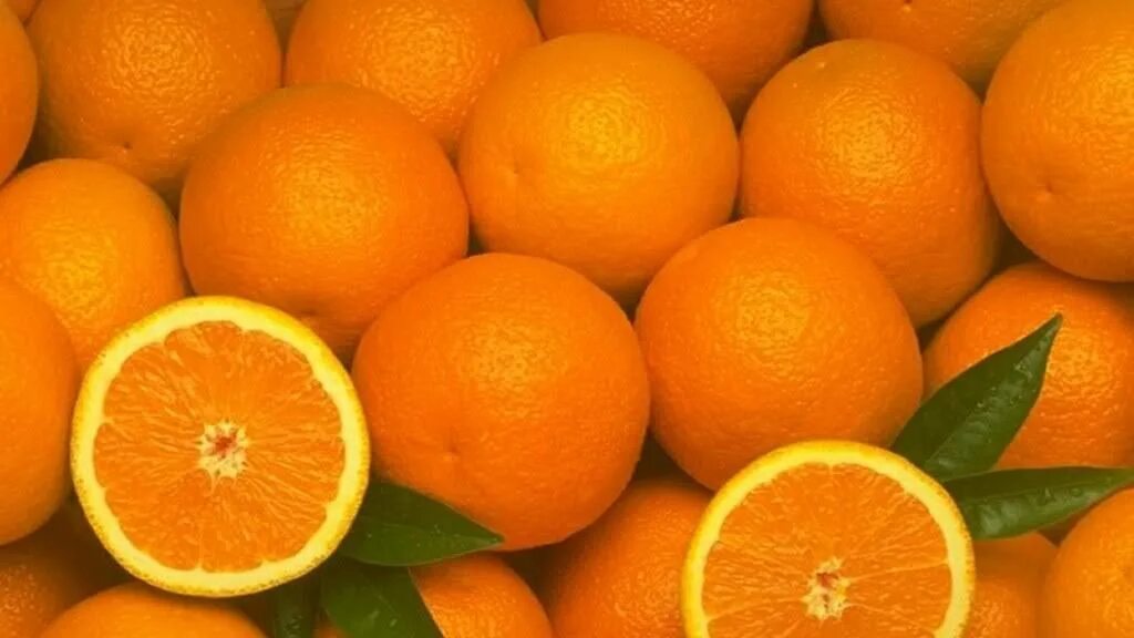 Абрикос и мандарин. Цвет мандарина. Фрукты по отдельности. Апельсин мандарин и персик. Нектарин мандарин.