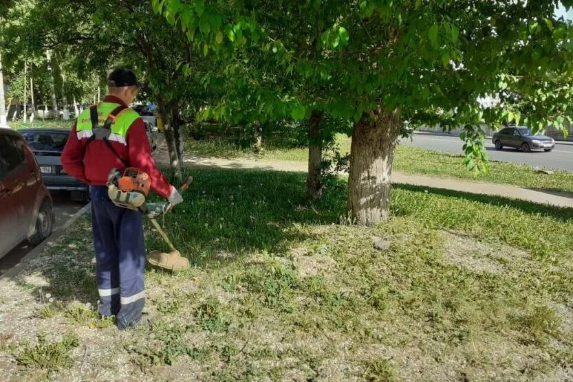 служба чистоты и порядка нефтекамск директор. служба чистоты и порядка нефтекамск. служба чистоты и порядка. чек лист уборки. жкх и благоустройство.