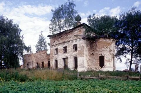 Редикор