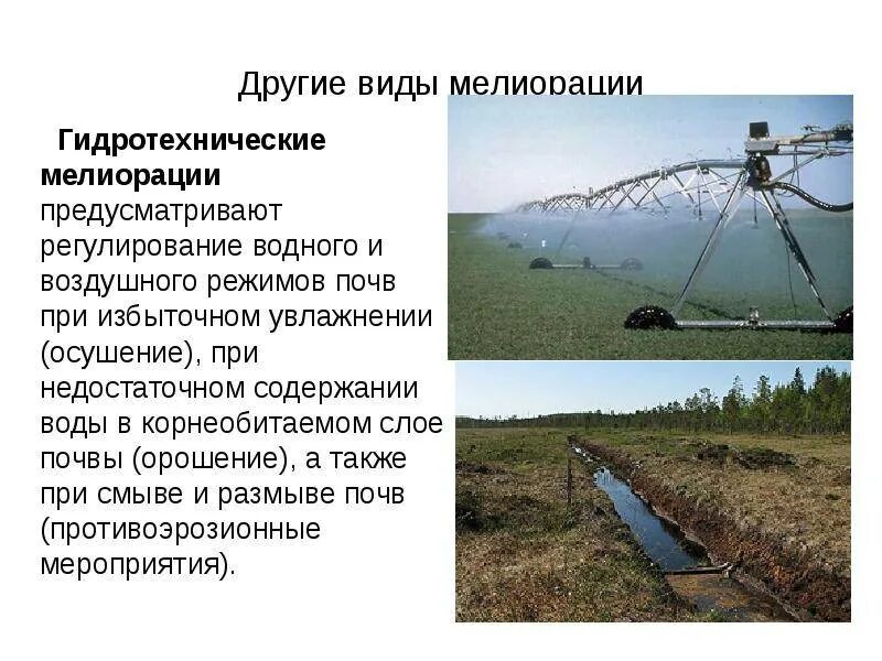 Что предусматривает мелиорация земель. Виды мелиорации. виды агролесомелиорации. виды мелиорации почв. мелиорация картинки для презентации.