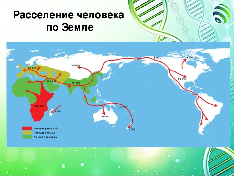 Расселение по земному шару. Расселение древних людей по земному шару карта. Расселение древних людей по земле. Расселение людей по земному шару. Пути миграции человека.