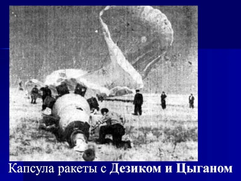 12 апреля 1951. Гагарин приземление. Приземление Гагарина на землю. Дезик и цыган после приземления.