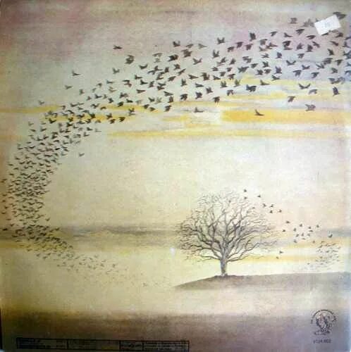 Genesis "wind & wuthering, cd". Wind wuthering. Genesis "wind & wuthering". Genesis wind wuthering 1976. Genesis "wind & wuthering".