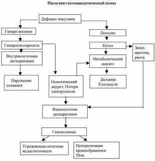 Кетоацидотическая кома патогенез