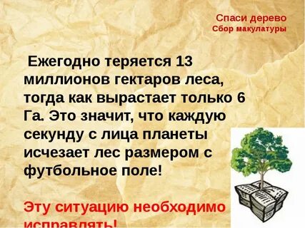 Сколько деревьев спасает 1 тонна