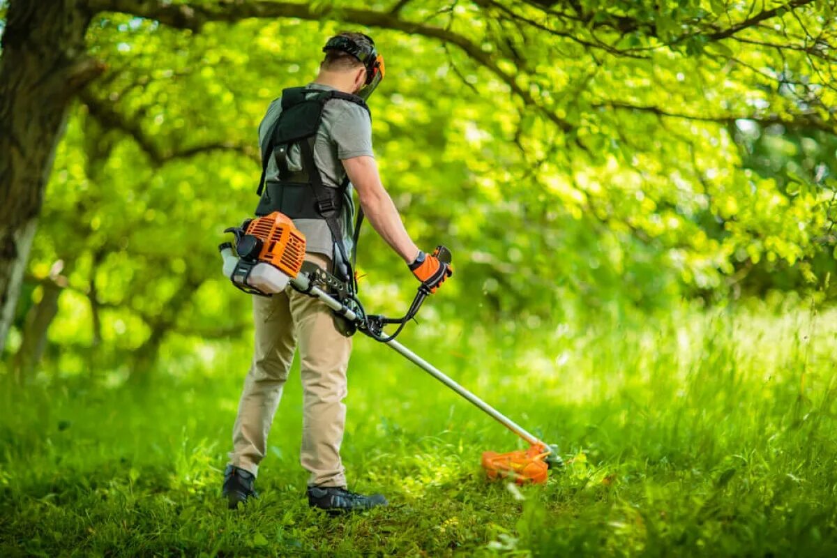 Лучшие триммеры покоса травы. Триммер бензиновый Brush Cutter. Покос травы бензиновым триммером. Стрижка травы триммером. Услуги покоса травы.