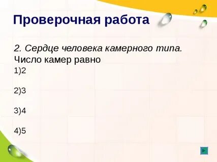 Число камера