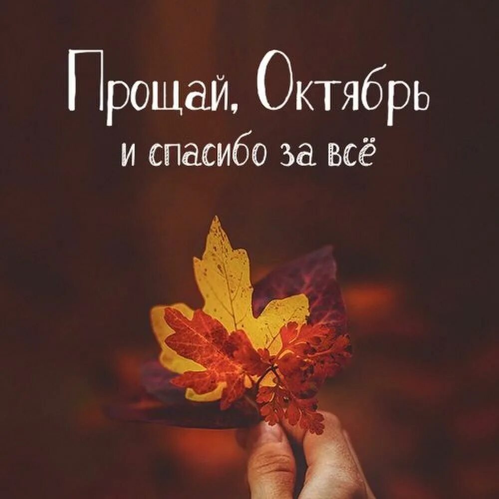 До свидания октябрь доброе утро. Последний деньоктябрч. прощай октябрь. с последним днем октября. с последнимднёмоктября.