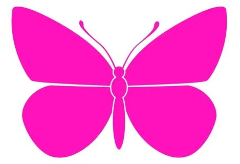 Papillon rising