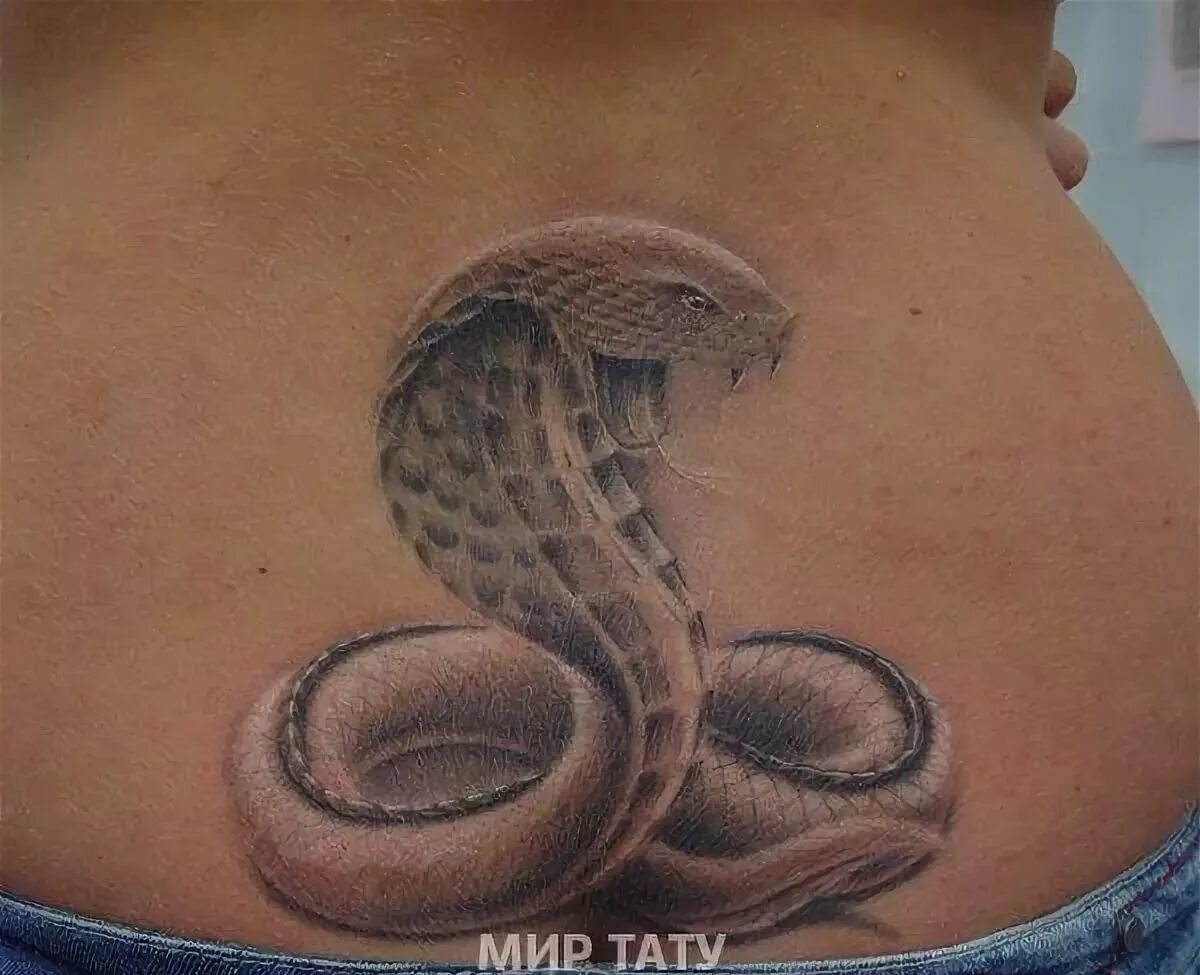 Змеи в жопах девушек. Тату змея на спине. Татуировка змеи на животе. Тату Кобра. Тату змея на пояснице.