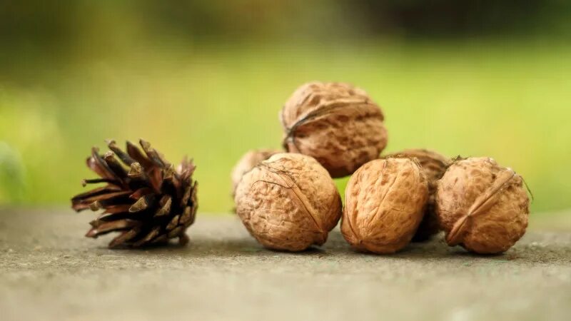 Орехи грецкие зиму. Грецкий орех скороспелый. Греческий орех. Орехи грецкие зиму. Греческий орех.