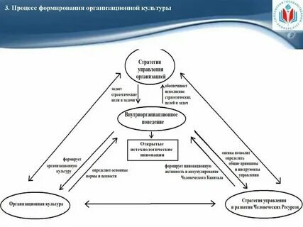 Стратегия управления культурой в организации