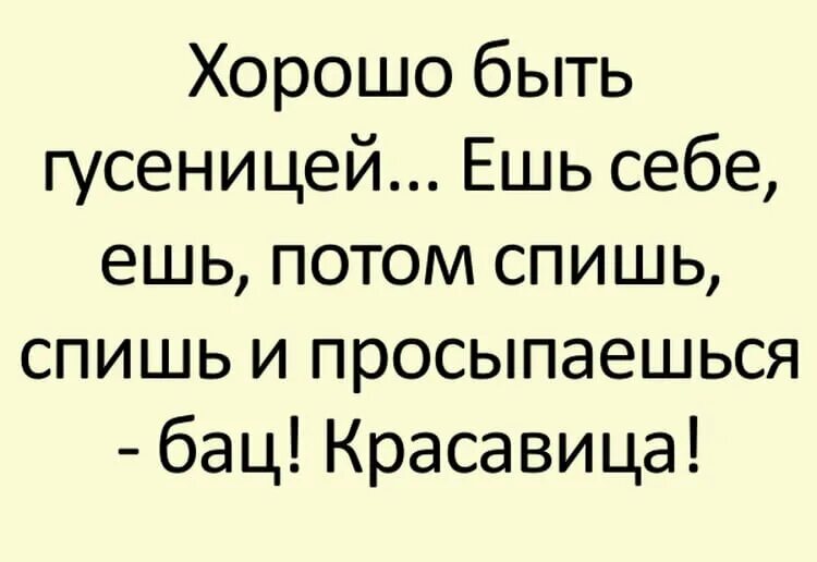 Веселые юмористические рассказы. Смешные истории. Короткие смешные рассказы. Интересные смешные истории. Самые смешные рассказы.