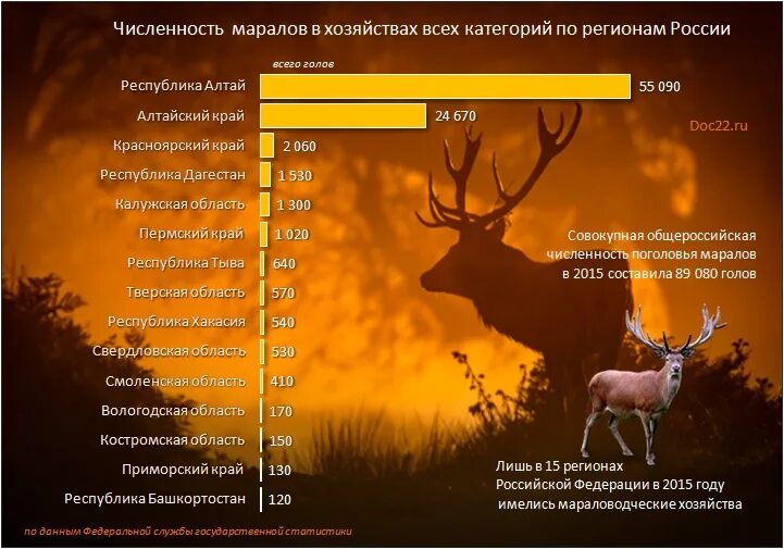 Благородный олень численность. Численность оленей. Численность оленей в России. Численность оленей в мире. Численность северного оленя