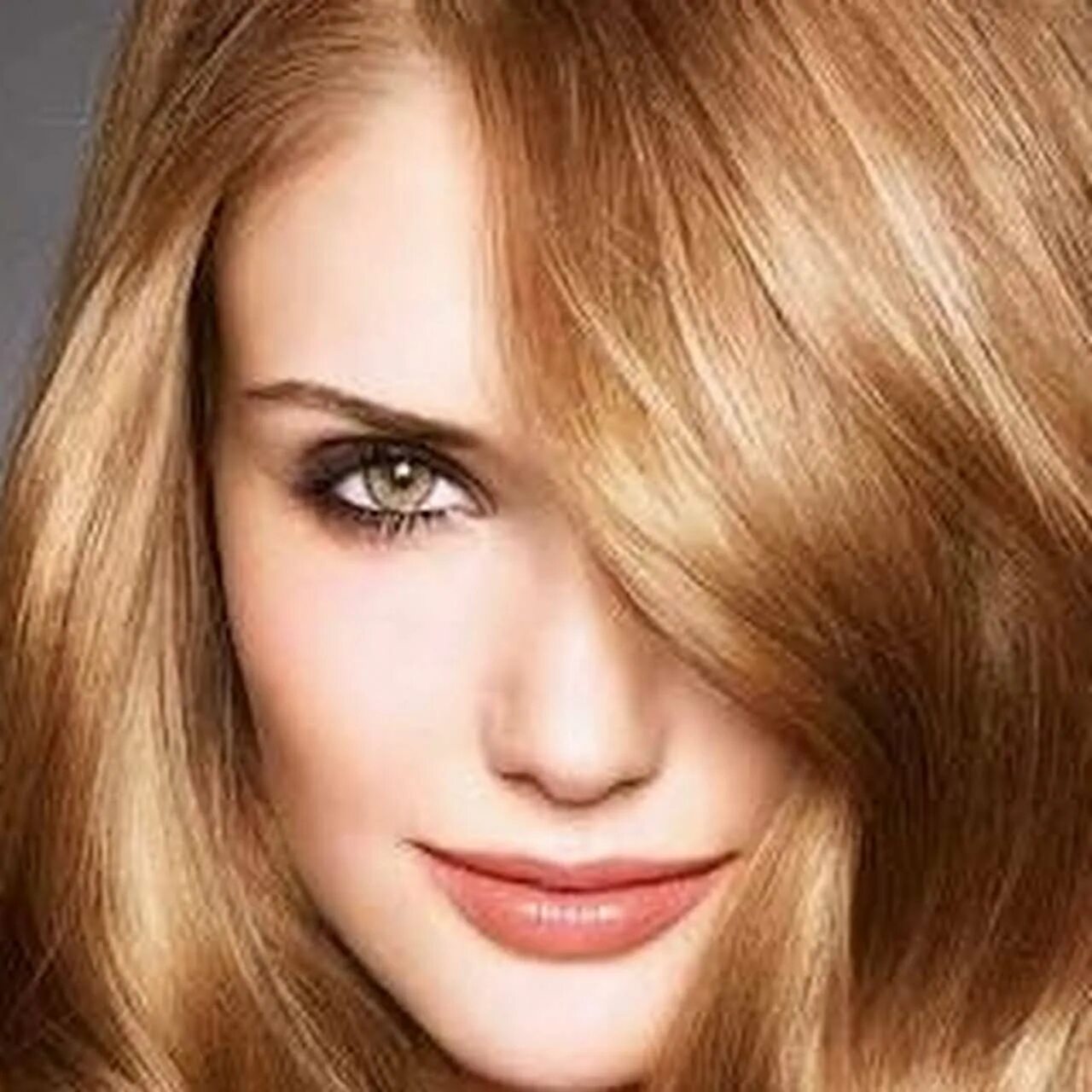 Руссо пшеничный цвет волос. Лореаль клубничный блонд. Лореаль медовый блонд. Золотистый цвет волос.