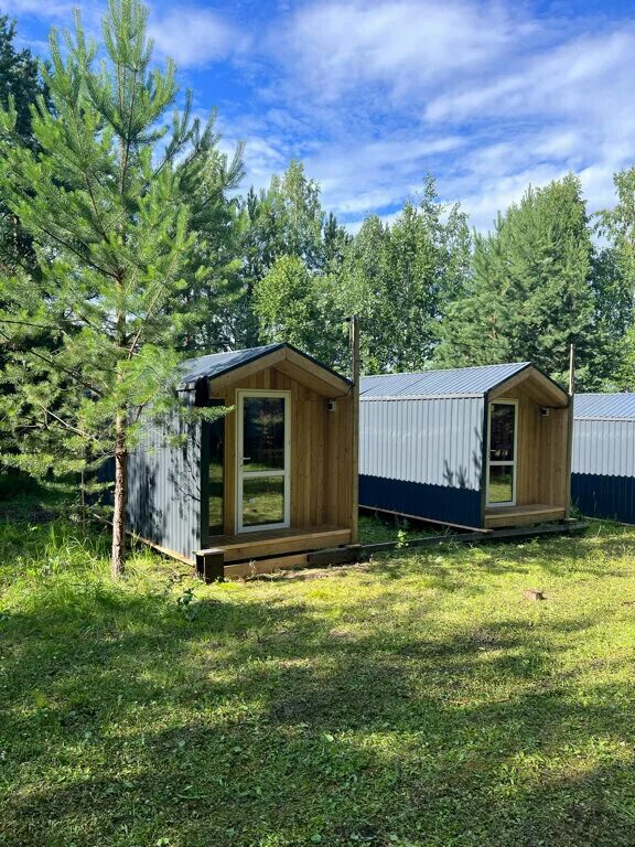 База отдыха "чистый берег" с. База отдыха чистый берег даурское. База отдыха "чистый берег" с. База сфу даурское. Чистый берег даурское.