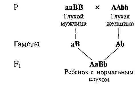 Наследование глухонемоты