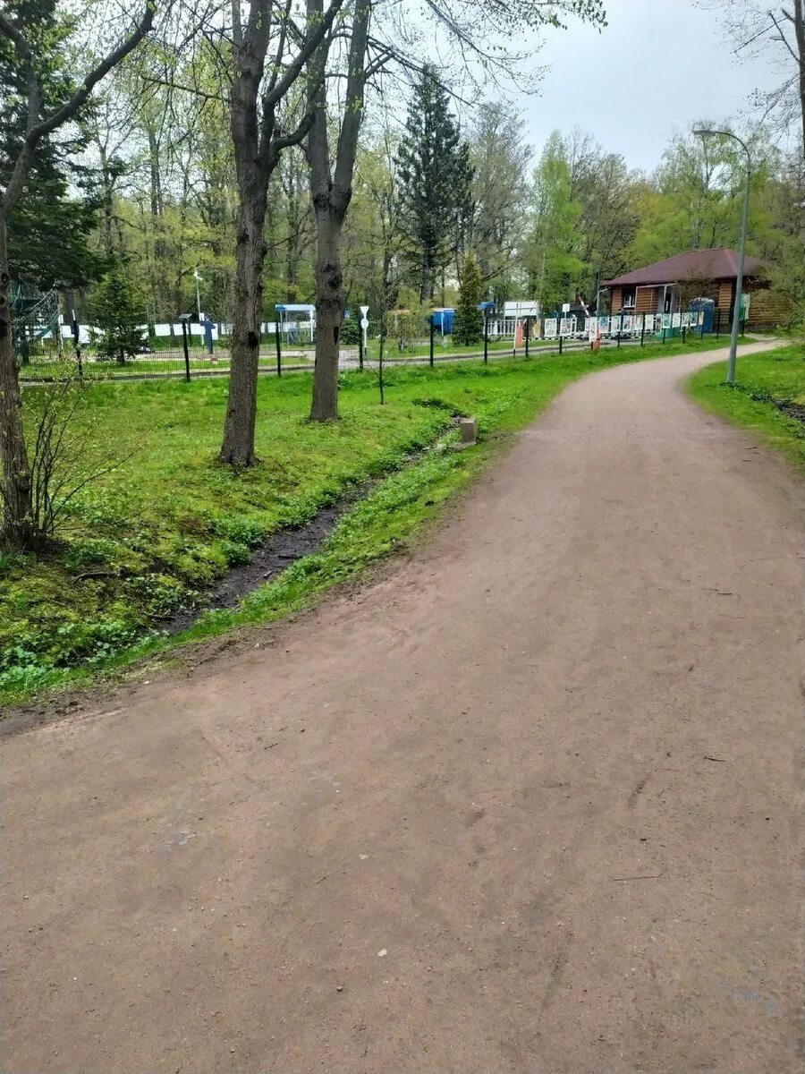 Нижние дубки. Нижние дубки. Парк дубки нижний новгород сцена. Нижние дубки. Нижние дубки.