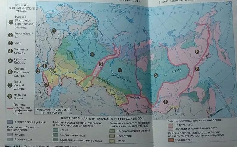 Физико географические страны 8 класс