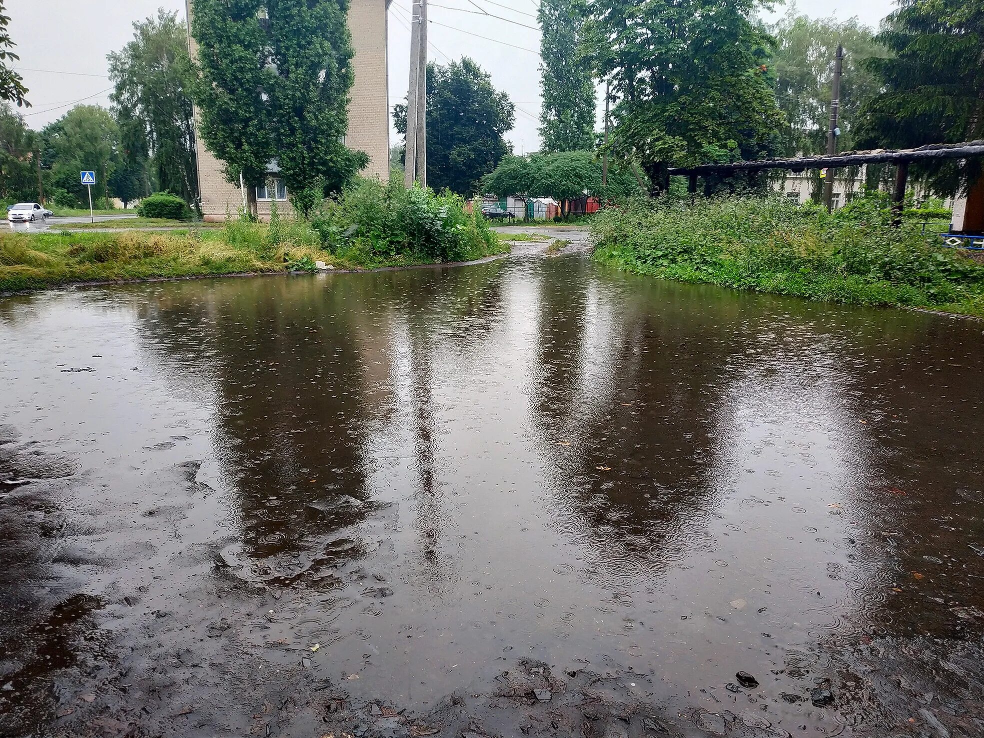 Погода область дождя. Ливень в Курске. Курская область дождь. Осадки Курск. Курск сегодня после дождя.