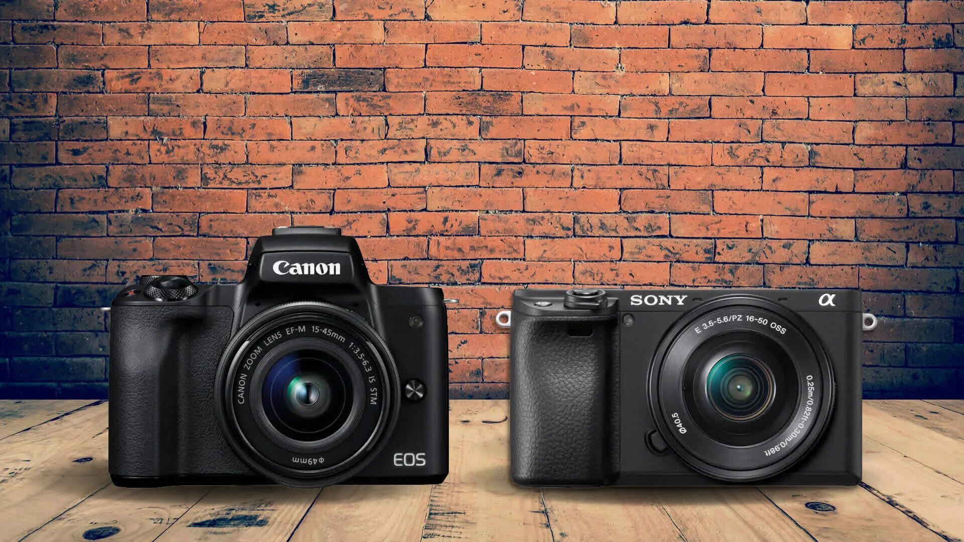 Качество s 50. Canon m50 vs Sony a7s3. Canon EOS m50 vs girls. Canon m14 6100-01. Canon m50 vs r50.
