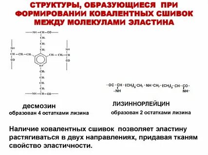 Структуру и образуют