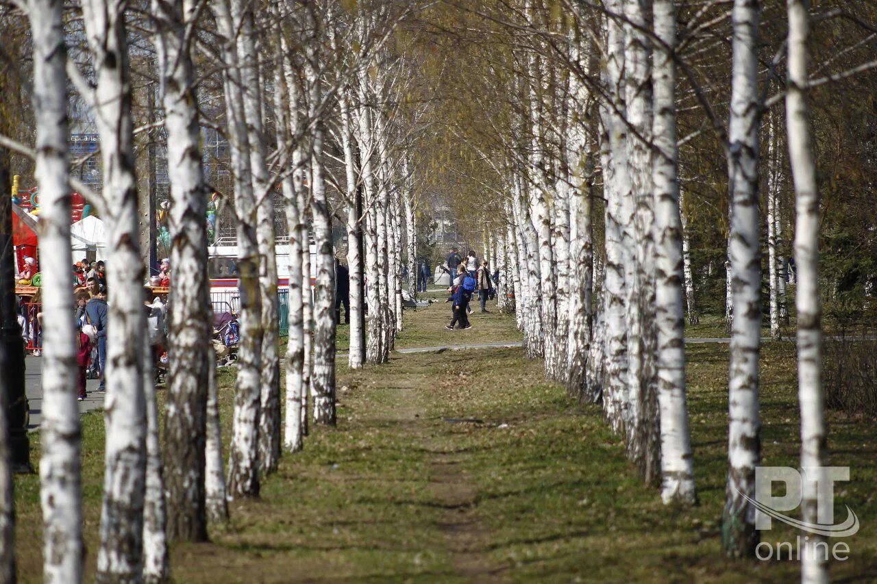 Прогноз лета в татарстане