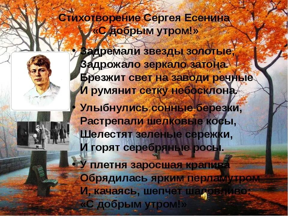 Стихи Есенина. Есенин с. "стихи". Стихотворениеотворени. Стихотворение са Есенина. Стихотворение быть поэтом есенин