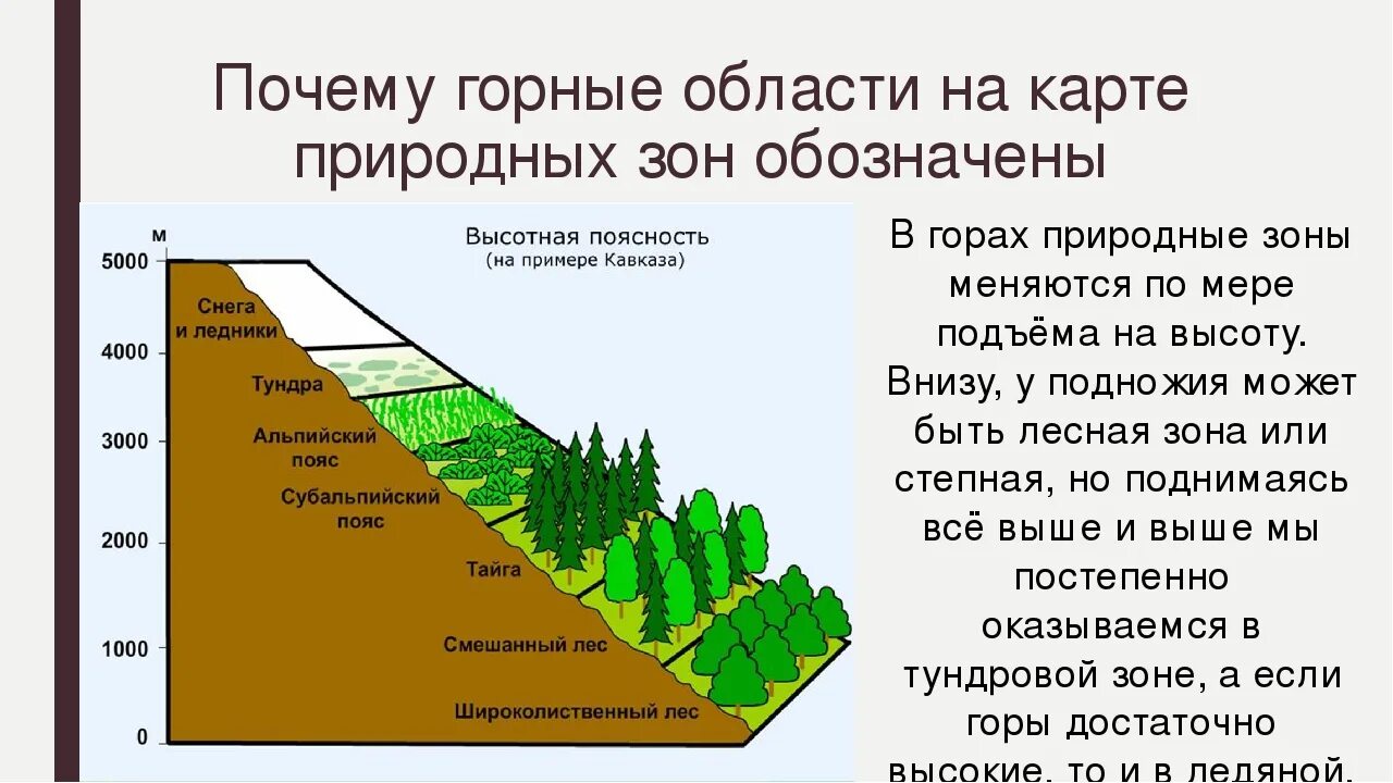 Высота местности над уровнем моря влияет. Высотная поясность или поясность. Природные зоны ВЫСОТНОЙ поясности. Карта природных зон России области ВЫСОТНОЙ поясности. Высотная поясность большого Кавказского хребта.