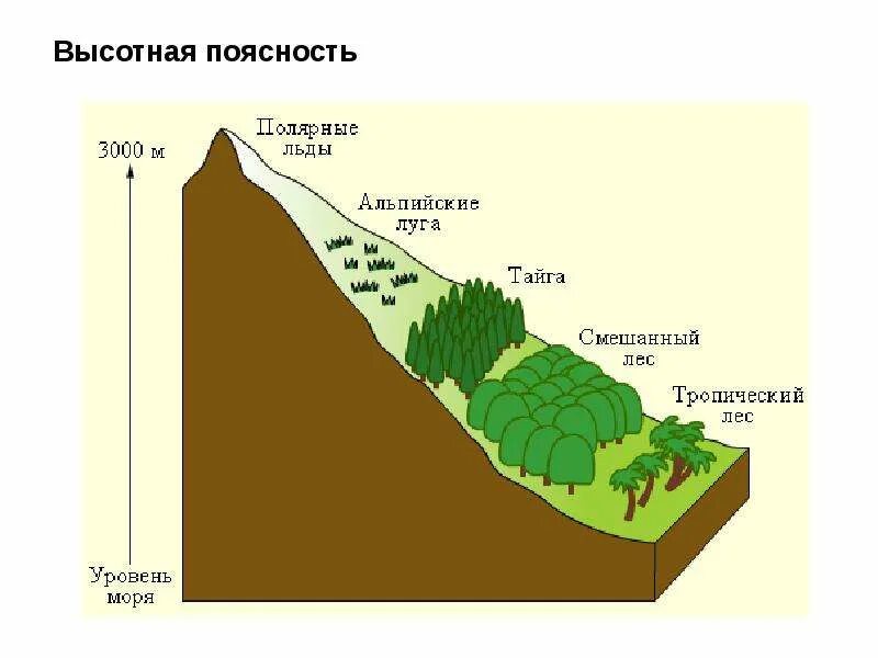 Ниже уровня моря. Ниже уровня моря