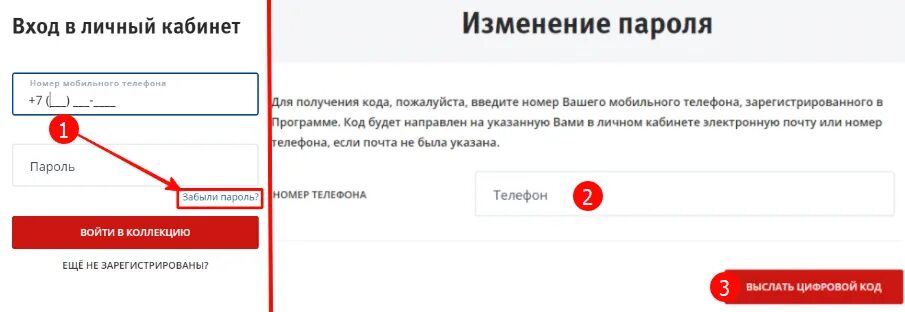 Как сменить пароль в приложении. Пароль для входа в личный кабинет. Пароль для доступа в личный кабинет. Восстановление пароля для входа в личный кабинет. Если забыла пароль в личный кабинет.