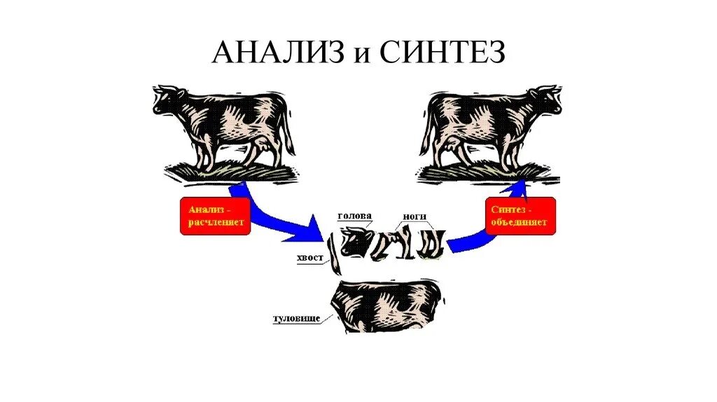 Метод научного синтеза. Метод анализа и синтеза в исследовании. Анализ и Синтез. Анализ и Синтез примеры. Анализ пример метода.