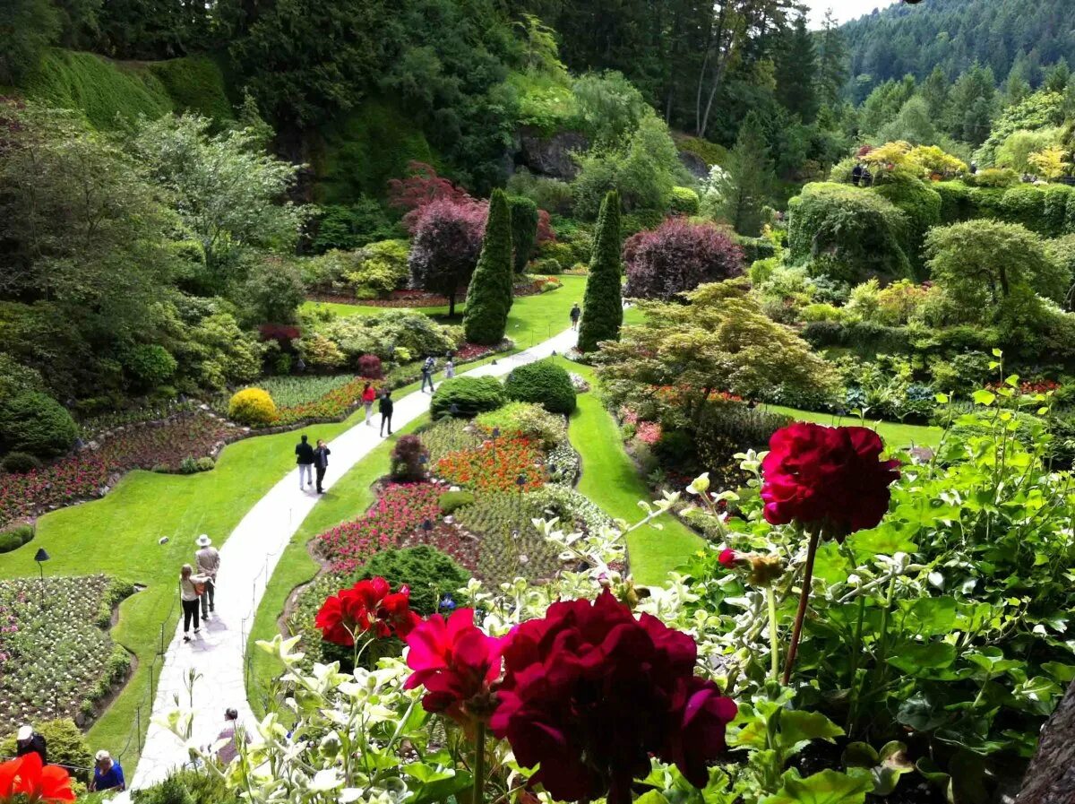 Парк какой прекрасный. Butchart Gardens Канада. "Сады Бутчартов (the Butchart Gardens) Ванкувер, Канада. Сады Бутчартов итальянский сад. Розовый сад Бутчартов Канада.