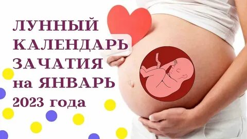 2023 год беременность