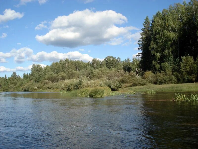 Но до чего же красива река лобань. Кильмезь река Лобань. Река Лобань Кировская область. Лобань (приток Кильмези). Река Лобань.