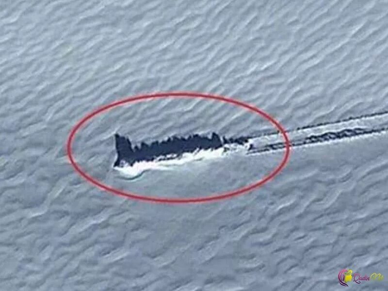 археология в антарктиде. загадочные снимки антарктиды. останки динозавров в антарктиде. находки в антарктиде 2021. странные объекты в антарктиде.