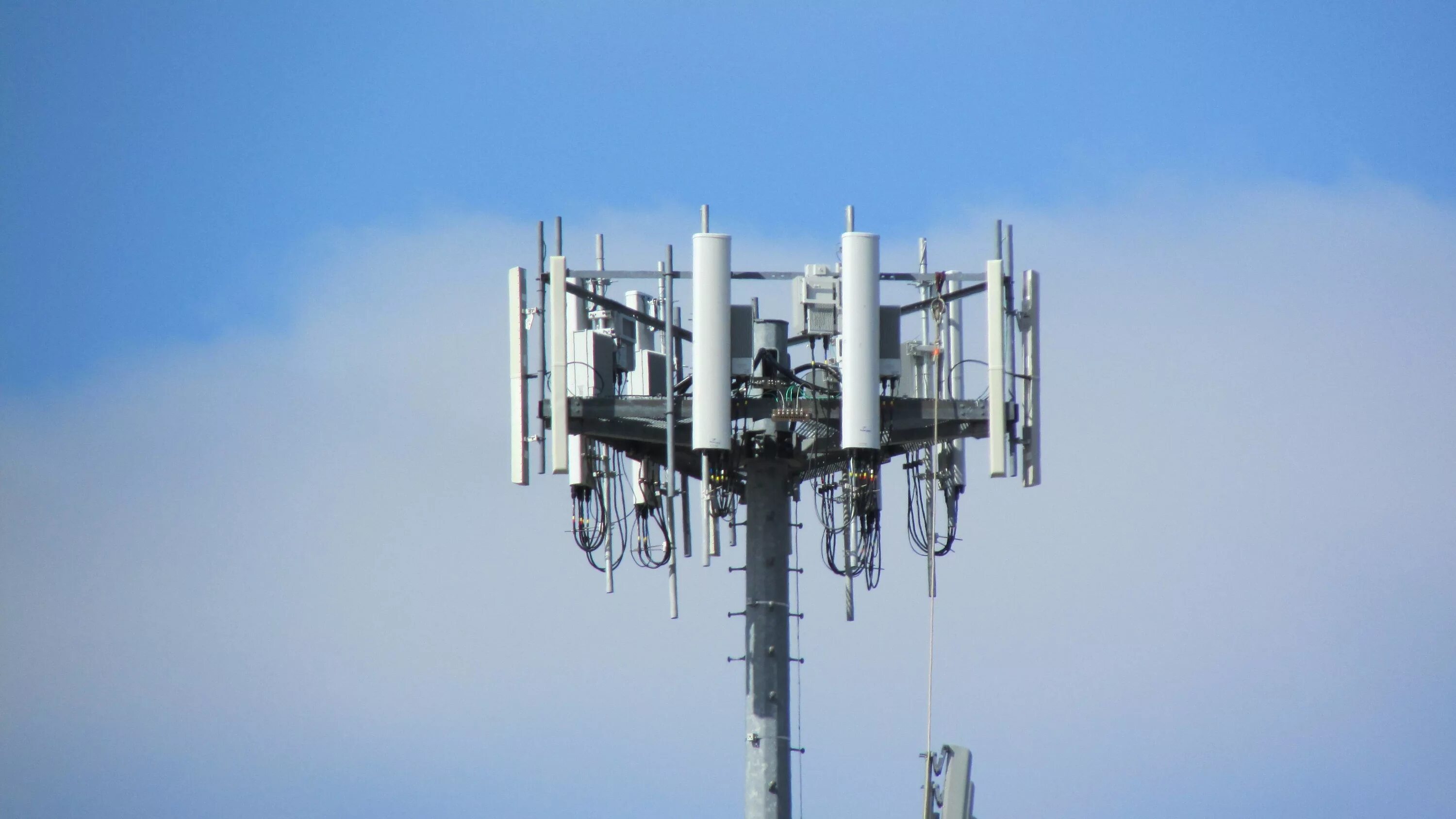 Базовая станция 4g LTE. Базовая станция сотовой связи LTE. RFS-65 антенна сотовой связи. Секторная антенна 4g.