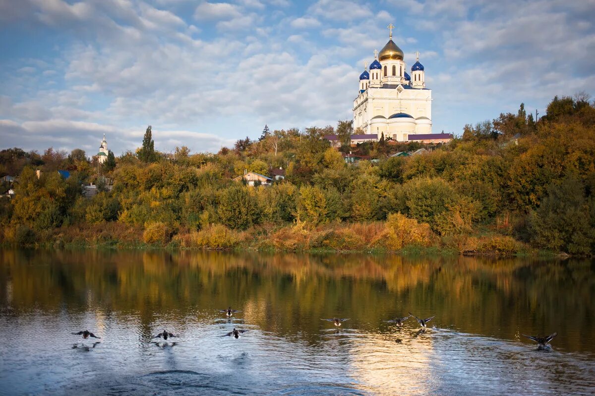 полная ванна карасей. малые ельцы. малые ельцы. зимняя рыбалка на карпа карася. елец-маланино.