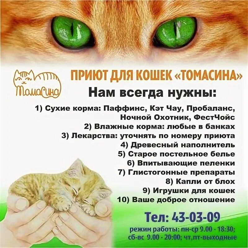 Номер приюта для кошек