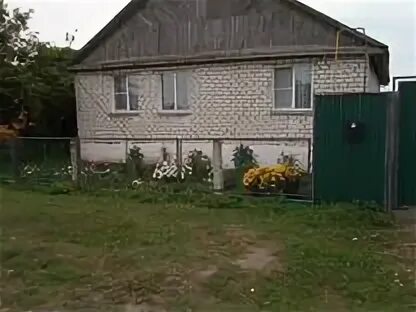 Погода в сафакулево на 10