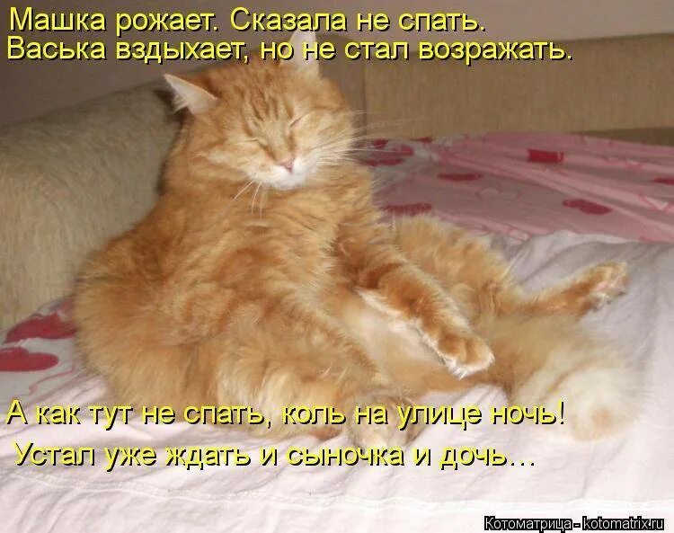 Кот не дает спать. Открытки спишь еще. Кот я еще сплю. Спокойной ночи Котоматрица. Давай спать надо